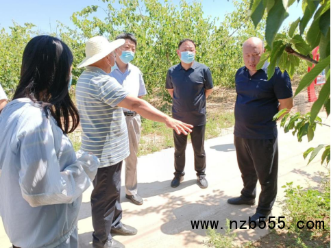 河北：寧晉縣組織開展農業(yè)技術培訓會