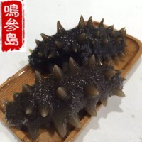 大連海參長?？h深海即食海參遼參500g一件代發口感好工廠加工批發