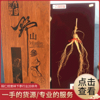 原產地直發(fā)林下參 禮盒證書人參山參 煲湯泡酒禮品林下參批發(fā)