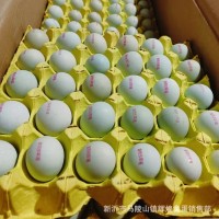 批發新鮮蟲草雞蛋富硒無抗蛋土雞蛋笨雞蛋草雞蛋噴碼印字