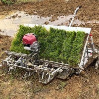 輕巧型4行水稻插秧機(jī)水田農(nóng)用全自動(dòng)汽油6行種植移栽熱銷機(jī)型
