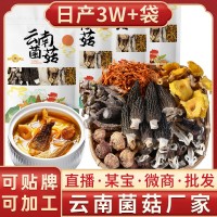 云南特產菌湯包干貨批貨市場農副產品干蘑菇燉雞煲湯羊肚菌湯料包