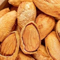 奶香薄皮巴旦木堅(jiān)果零食500g開口手剝堅(jiān)果薄殼年貨扁桃仁巴旦木