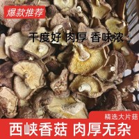 精品香菇干貨西峽產(chǎn)地工廠直銷(xiāo)精選大片香菇大厚菇實(shí)力工廠
