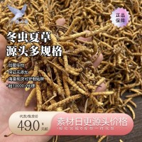 燕大哥品牌溯源冬蟲夏草 西藏那曲蟲草凍干蟲草認證 招商加盟代發