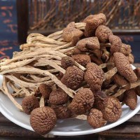 500g 現貨批發農家茶樹菇干貨 散裝包裝新鮮茶薪菇煲湯