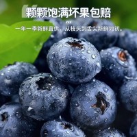 云南藍莓新鮮產地大藍莓云南怡顆莓寶寶L25藍莓鮮果順豐京東