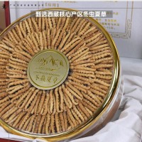 西藏冬蟲夏草干貨批發(fā) 頭期高海拔蟲草禮盒裝 多規(guī)格干蟲草無(wú)斷草