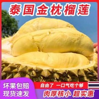 現貨泰國金枕榴蓮帶殼新鮮鮮果水果整箱順豐可選當季一整個需催熟