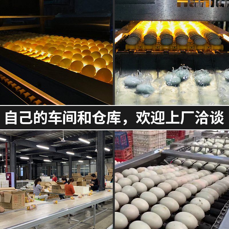 23222776048_1210167147 (1) - 副本