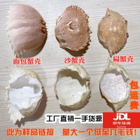 蟹寶殼面包蟹殼蟹殼元寶蟹殼蟹蓋沙蟹殼扁蟹殼梭子蟹殼螃蟹殼日料