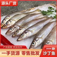 新鮮沙丁魚批發(fā)當天深海捕撈冷凍沙尖魚魚干海鮮水產(chǎn)酒店餐飲供應