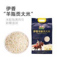 新疆羊脂御貢香米家用5kg粳米清香優選新米伊犁伊香大米25年新米