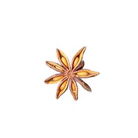 八角茴香調(diào)料2025年特級(jí)新貨無(wú)熏硫足干散裝廣西香料干貨大紅八角