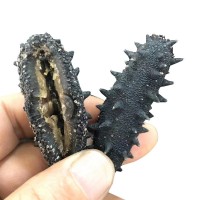 大連淡干海參50g刺參水產(chǎn)干貨批發(fā)廠家野生遼參禮盒裝開口海參