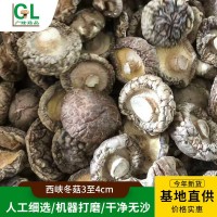 西峽冬菇3至4cm香菇干貨肉厚無(wú)根新鮮干香菇細(xì)選冬菇小蘑菇批發(fā)