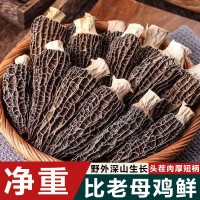 【無干燥劑發貨】羊肚菌新鮮干貨煲湯云南菌菇牛肚菌火鍋食材批發