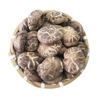 西部優質綠色農產品供應商-花菇供應 10斤